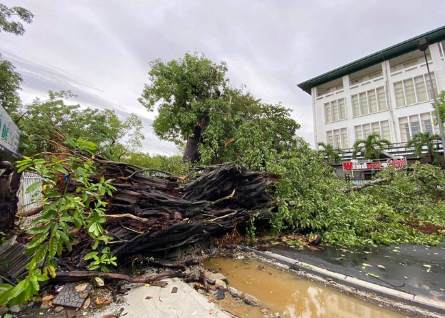 Các địa phương sau bão số 5: Nhiều nhà dân đổ sập hoàn toàn, hàng loạt xế hộp hư hỏng nặng - Ảnh 6.