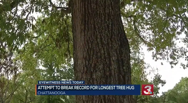Ôm cây hơn 10 tiếng đồng hồ để lập kỷ lục Guinness thế giới - 2
