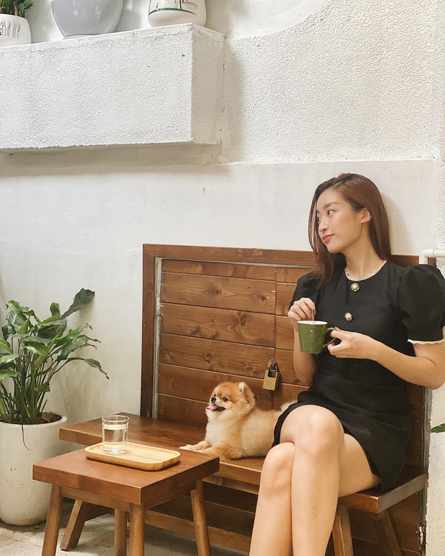 Đỗ Mỹ Linh đưa cún cưng đi cà phê thư giãn.