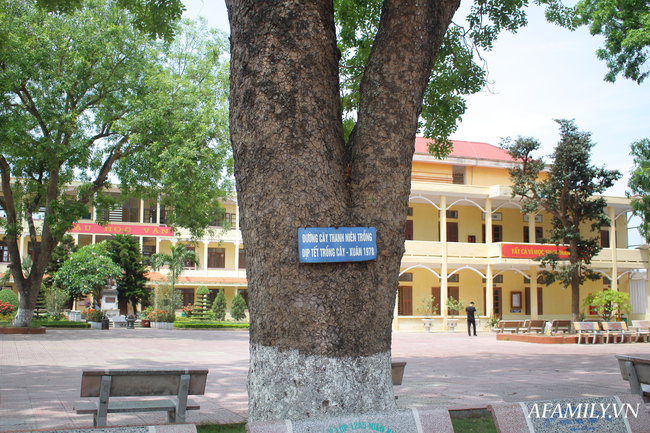 Ngôi trường xanh mướt như 1 khu sinh thái thu nhỏ giữa “thành phố cảng”, nơi thầy trò giữ gìn từng gốc cây, từng tán lá trong sân trường - Ảnh 16.