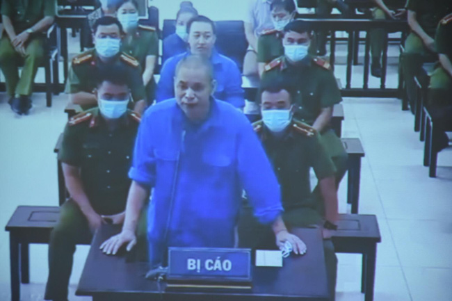 Mức án dành cho vợ Đường'Nhuệ' thao túng vụ đấu giá đất ở Thái Bình cùng các đồng phạm - Ảnh 3.