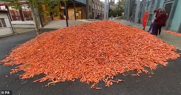 Đang yên đang lành đổ 28 tấn cà rốt ra đường, thanh niên khiến mọi người há hốc miệng khi biết hàm ý sâu xa nhưng vẫn không thể hiểu nổi - Ảnh 4.