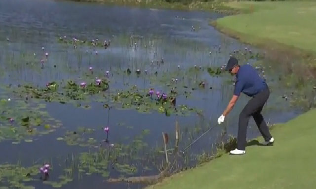 Golf thủ lấy gậy chọc cá sấu ở Olympic