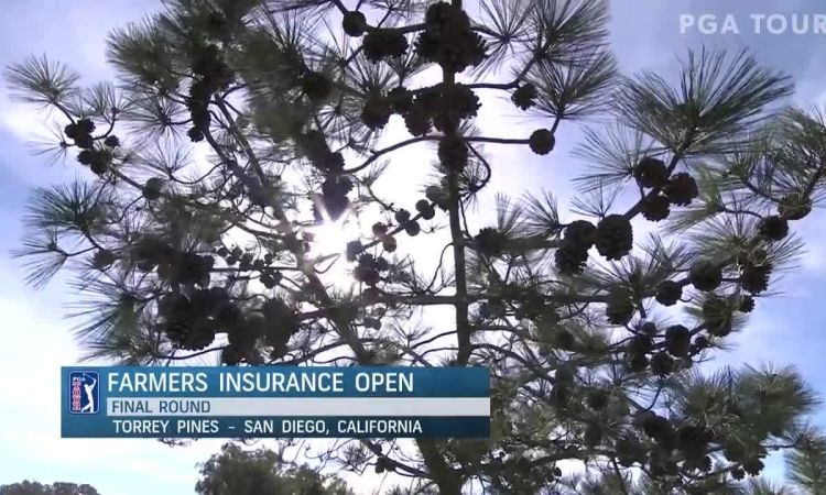 Diễn biến vòng cuối Farmers Insurance Open