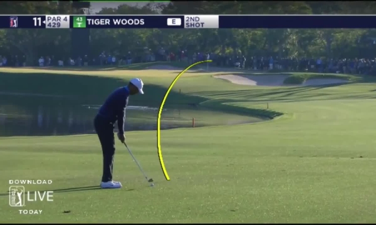 Tiger Woods ghi sáu birdie ở vòng mở màn giải Arnold Palmer